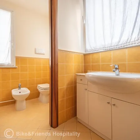 Gatto Errante Pesaro