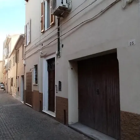 Gatto Errante Pesaro