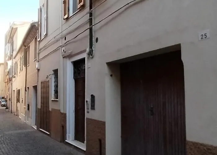 Gatto Errante Pesaro